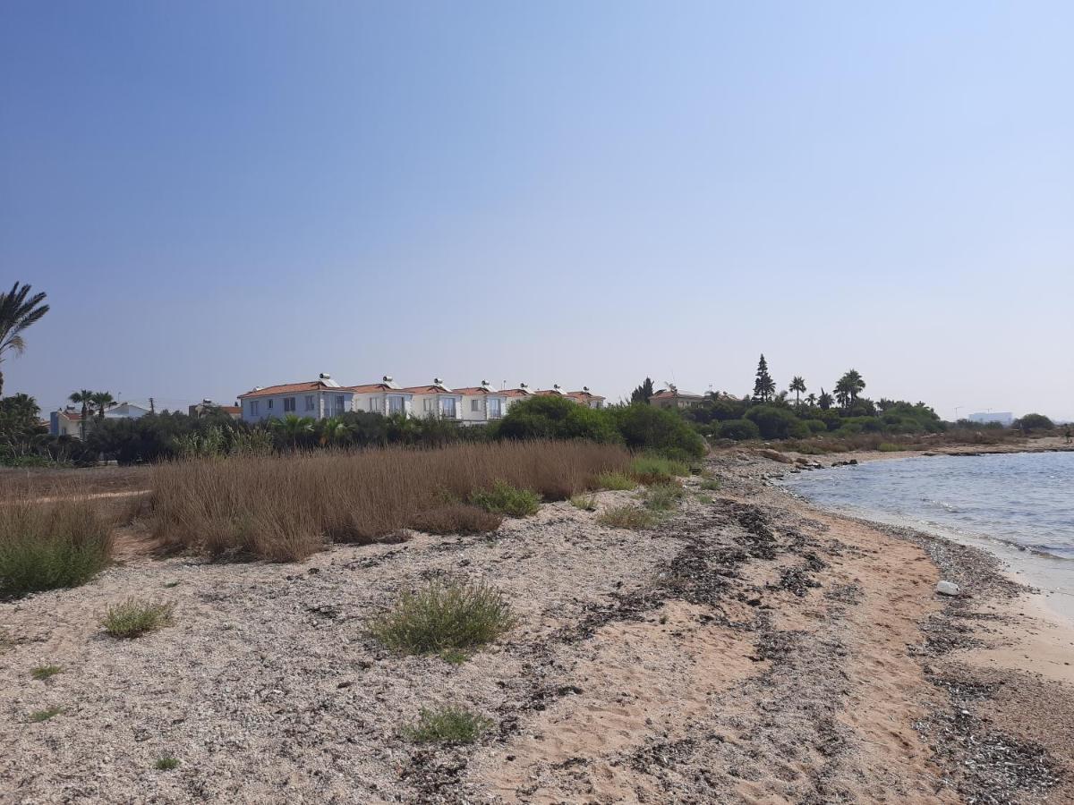 Villa Anastassia Agia Napa Exterior foto